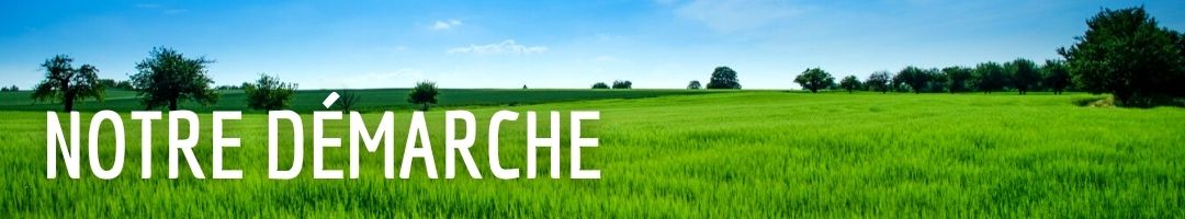 Notre démarche