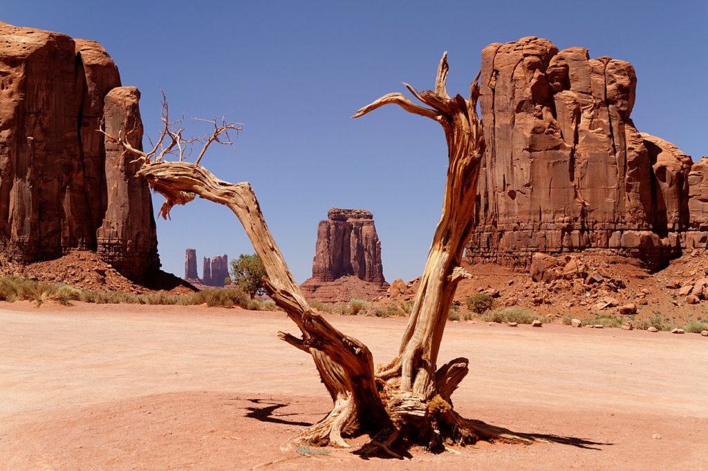 réchauffement climatique