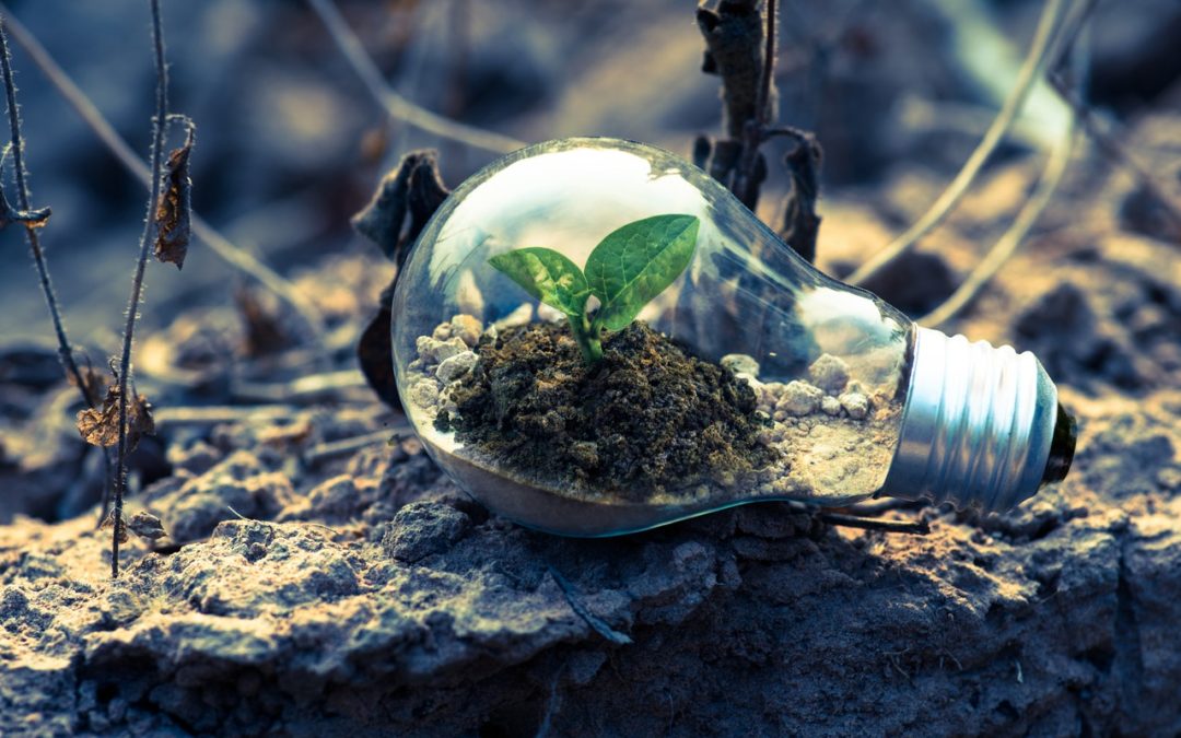 Quels scenarios pour la transition énergétique ?
