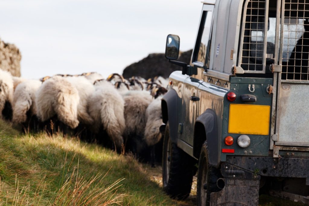 rechauffement climatique agriculture