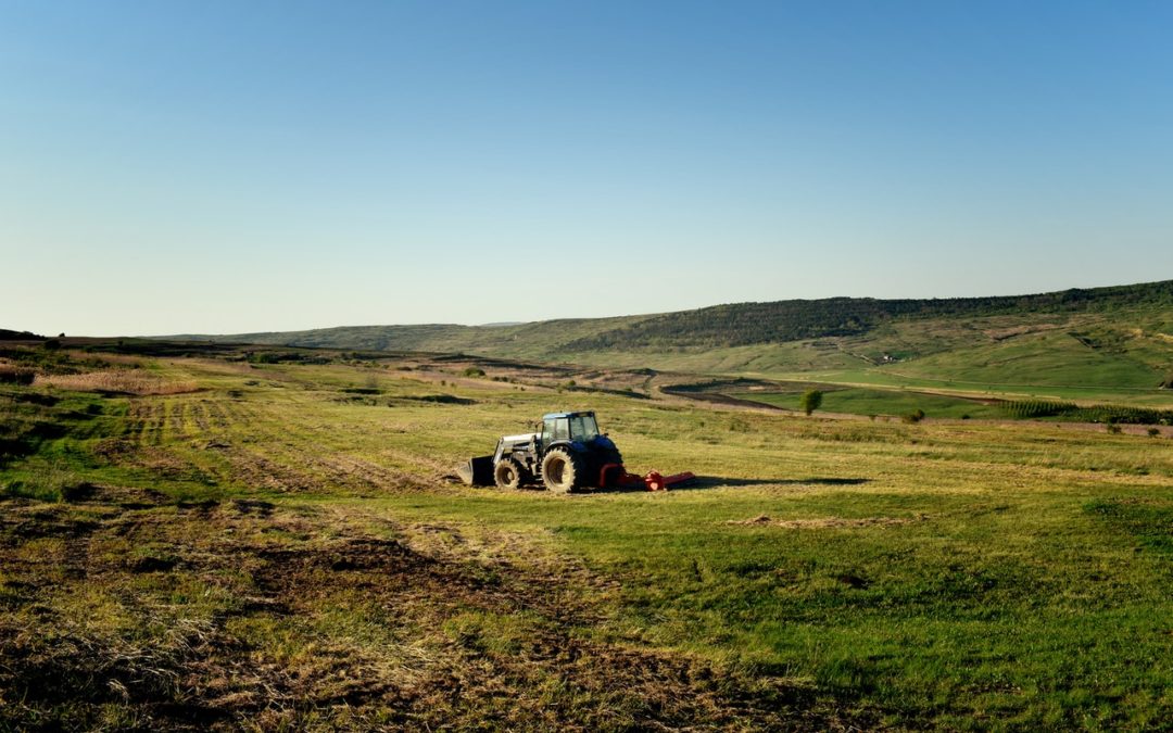 Agriculture : quel impact sur le réchauffement climatique ?
