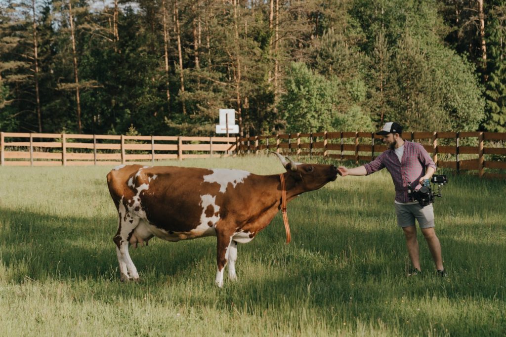 impact environnemental viande