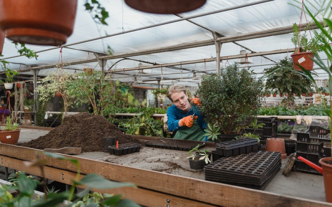 Comment et pourquoi faire son propre compost ?