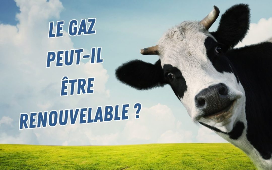 Le gaz peut-il être renouvelable ?