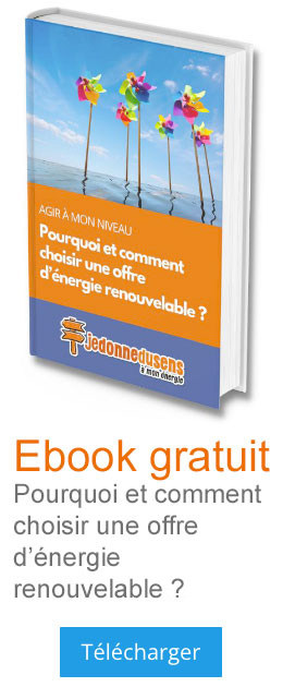 Ebook gratuit : Pourquoi et comment choisir une offre d’énergie renoiuvelable ?