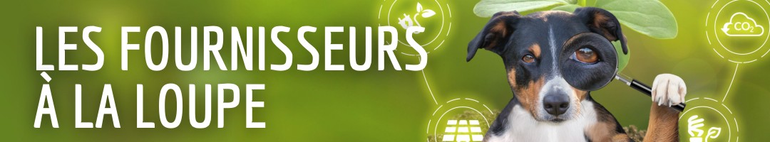 les fournisseurs à la loupe les fournisseurs à la loupe
