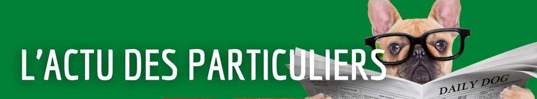 L'actu de l'énergie